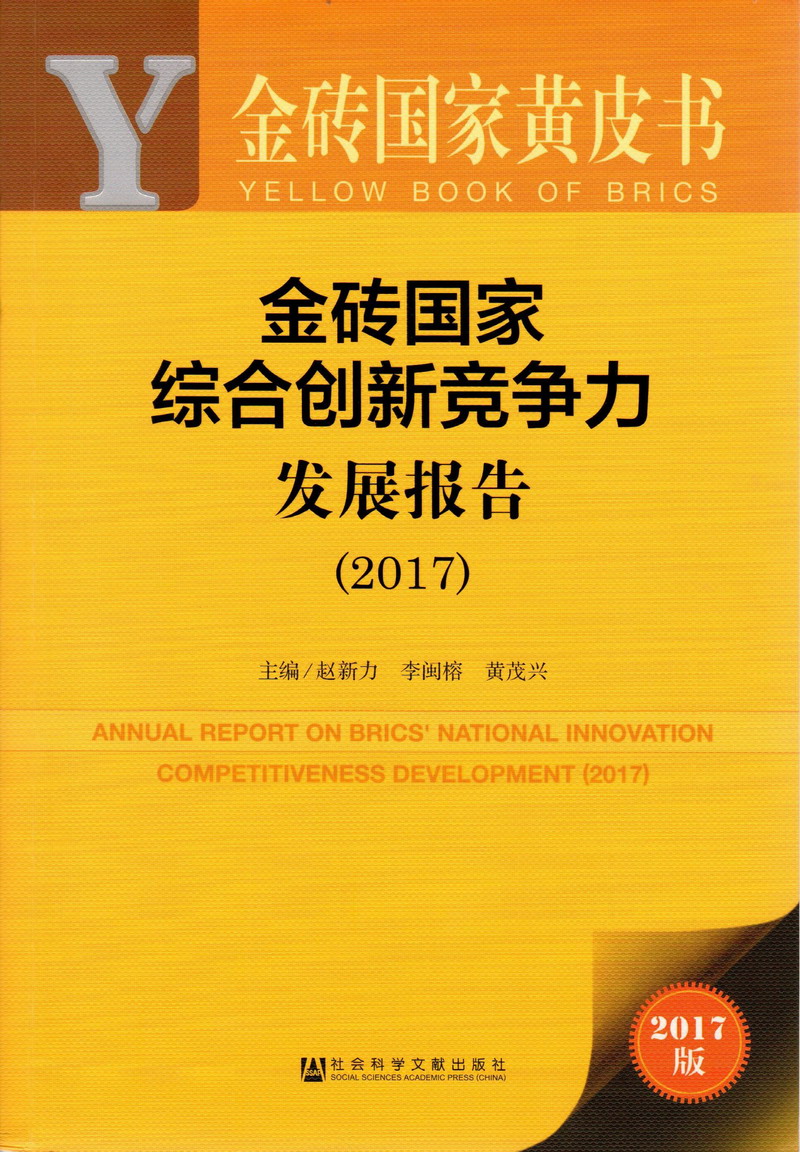 饺子皮插入视频啊啊啊啊啊啊啊啊金砖国家综合创新竞争力发展报告（2017）